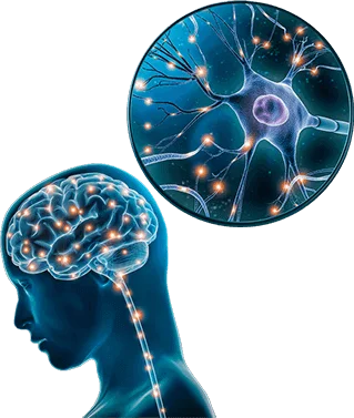 boost memory naturally